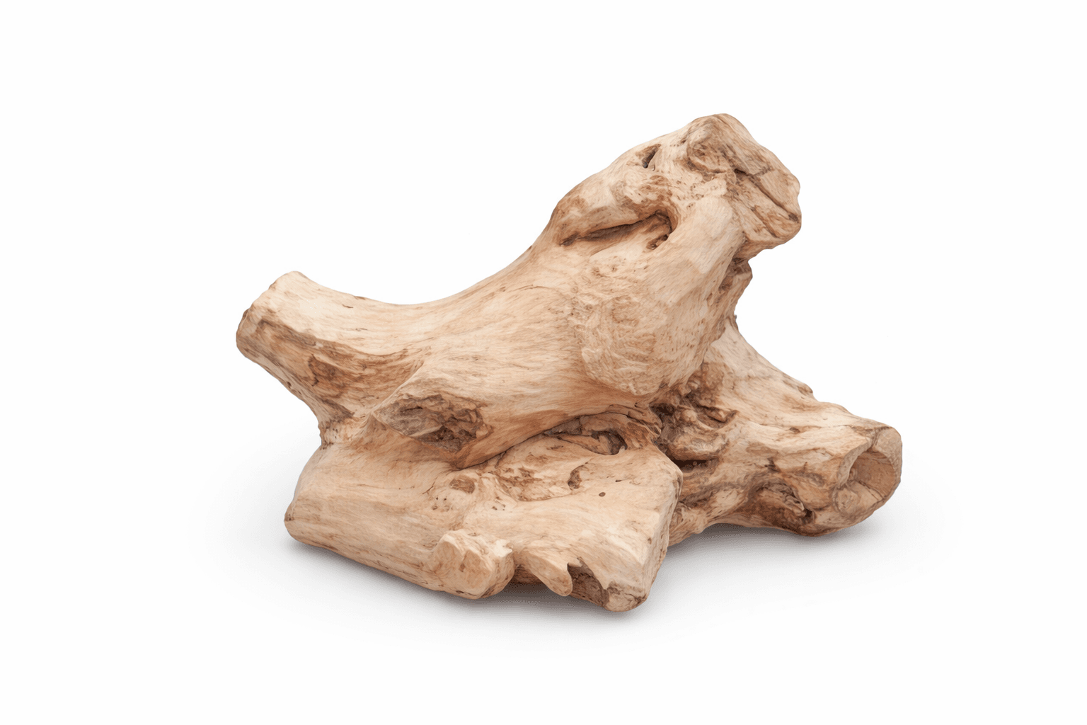 White Sandal Sapwood thumbnail